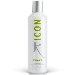 Icon Awake Conditioner Detox 250 ml
