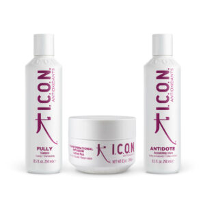 Icon Pack Antiossidante Fully Antidote Infusion