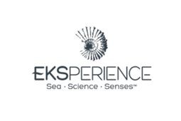 Eksperience